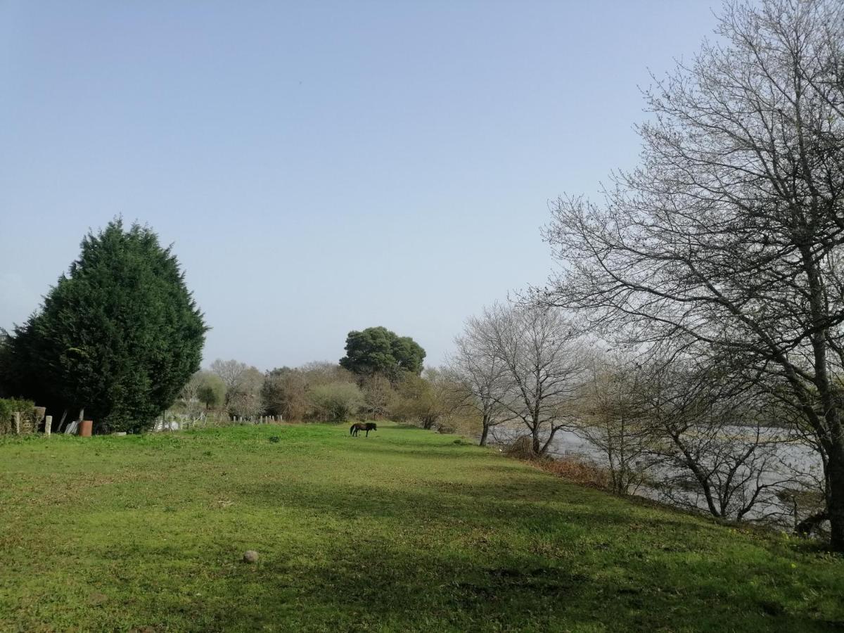 Royalheronhouse Viana do Castelo Extérieur photo